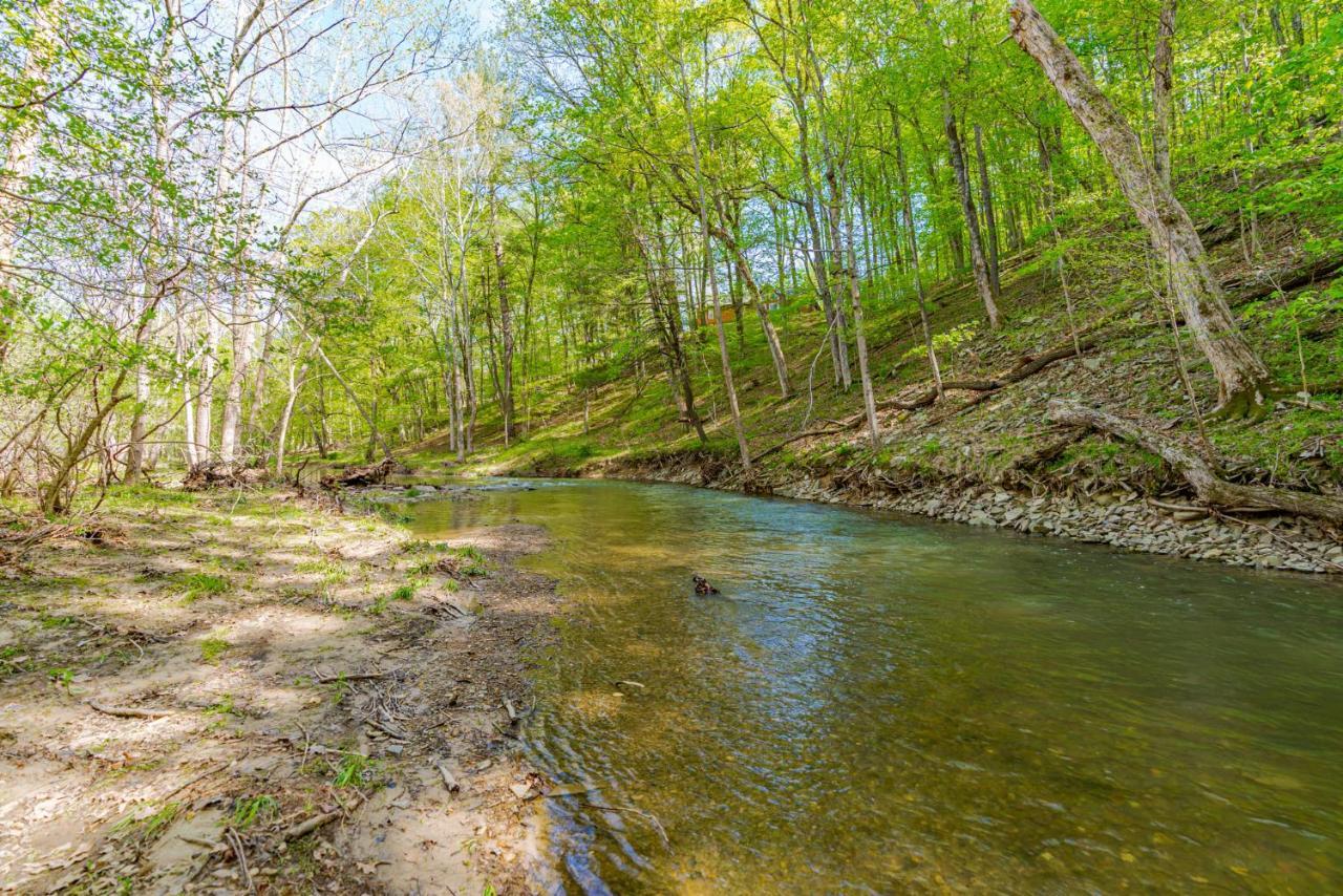 River Access Cabin With Hot Tub, Fire Pit, & Wifi! Morton Grove Экстерьер фото